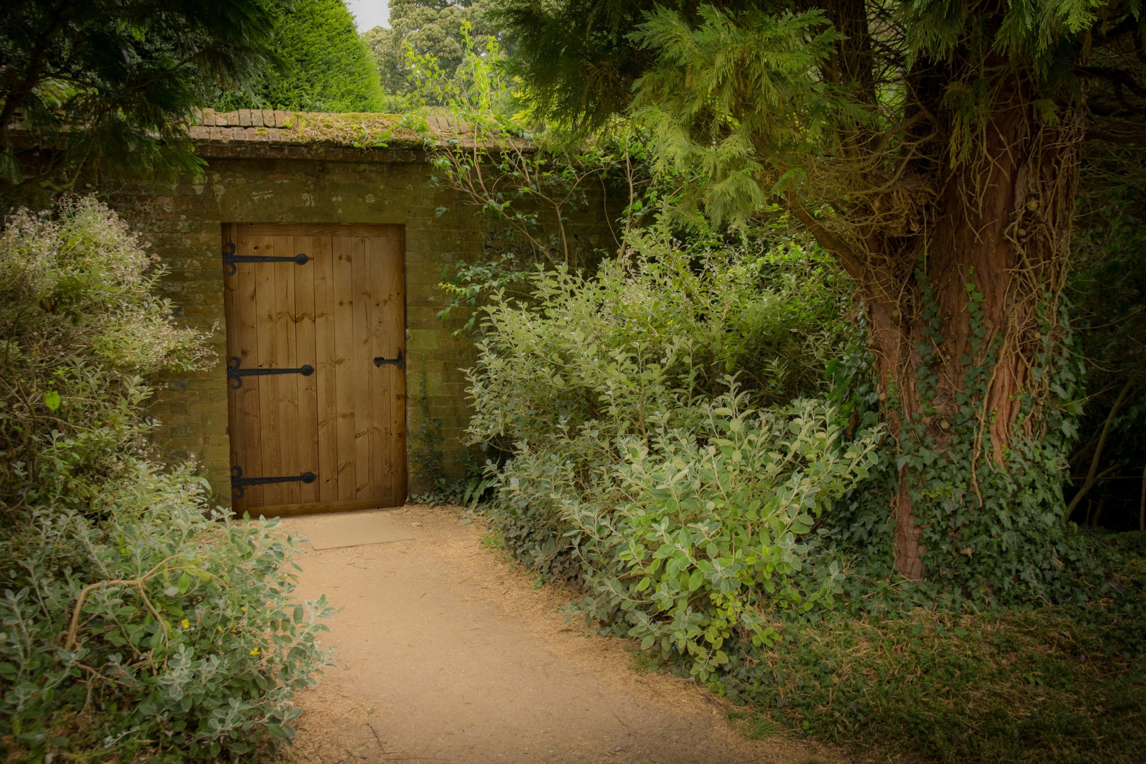 LANDB Ledged and Braced Redwood External Door